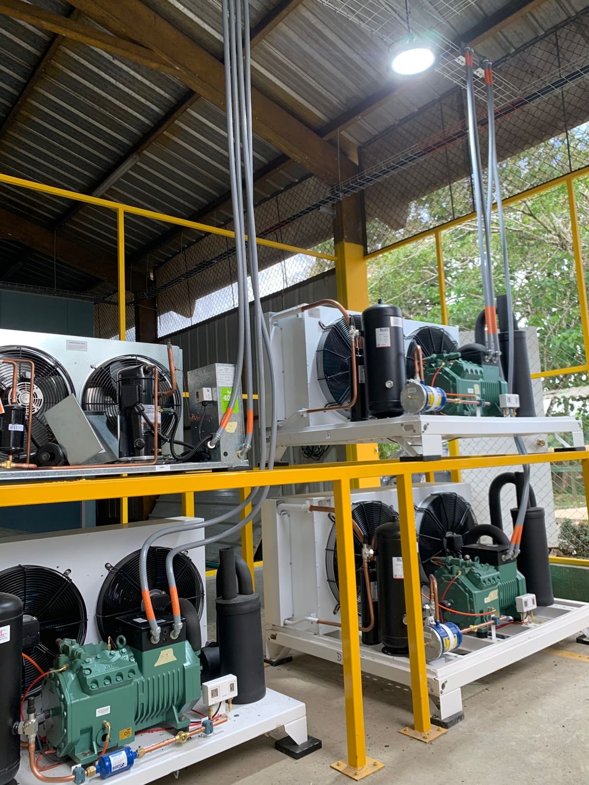 Proyecto Agricola Guapa — Chigorodo